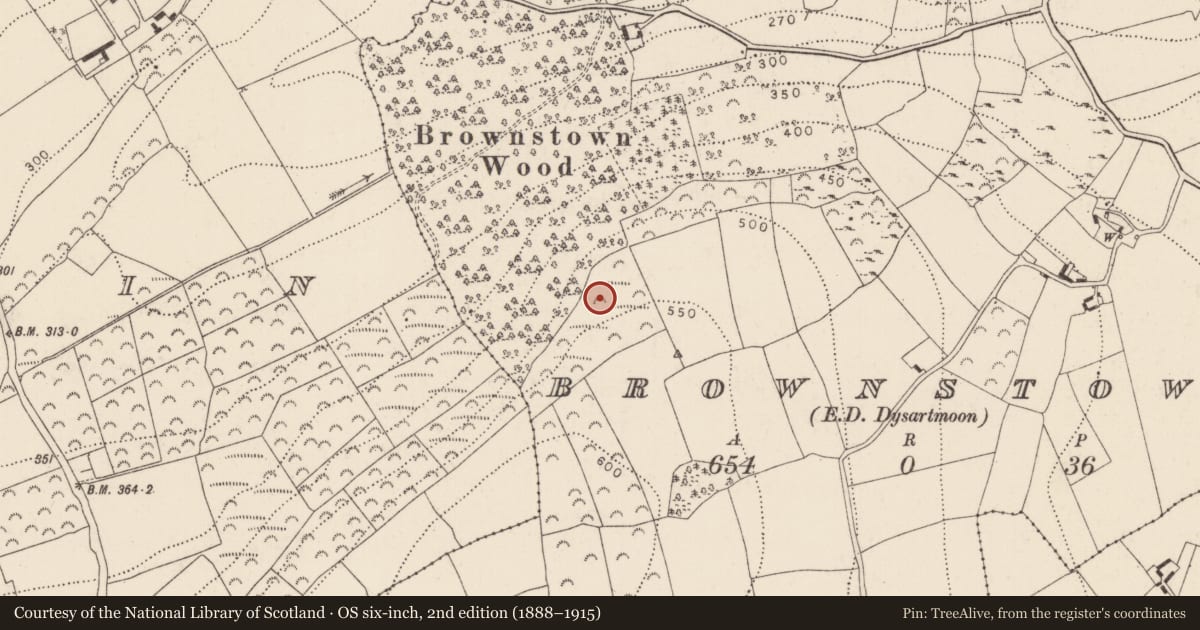 Ordnance Survey six-inch map, 2nd edition (1888–1915) covering the location of Ringfort - rath, Brownstown, County Kilkenny, with a pin at the register's coordinates