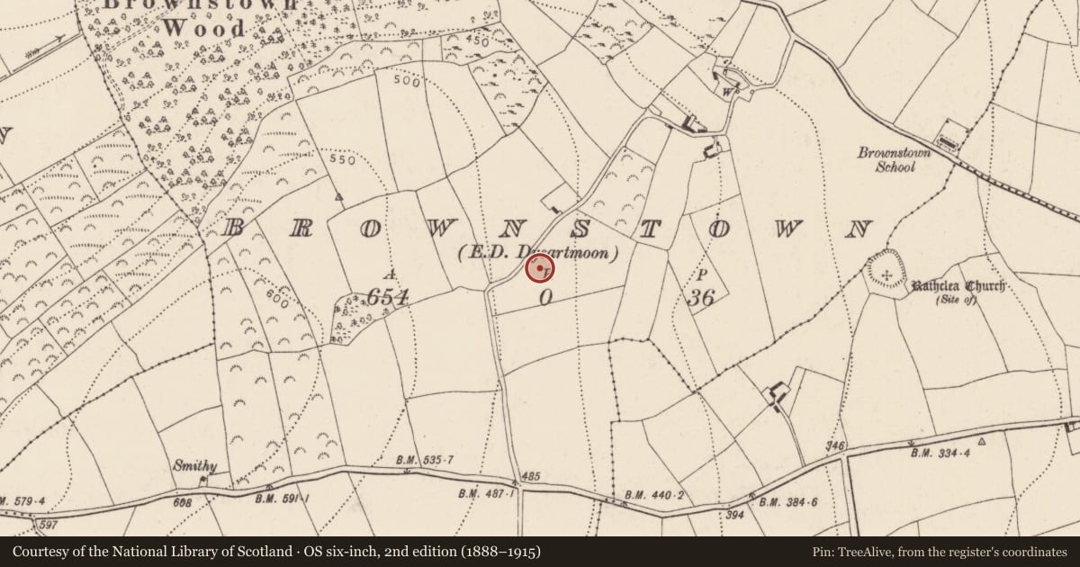 Ordnance Survey six-inch map, 2nd edition (1888–1915) covering the location of Moated site, Brownstown, County Kilkenny, with a pin at the register's coordinates