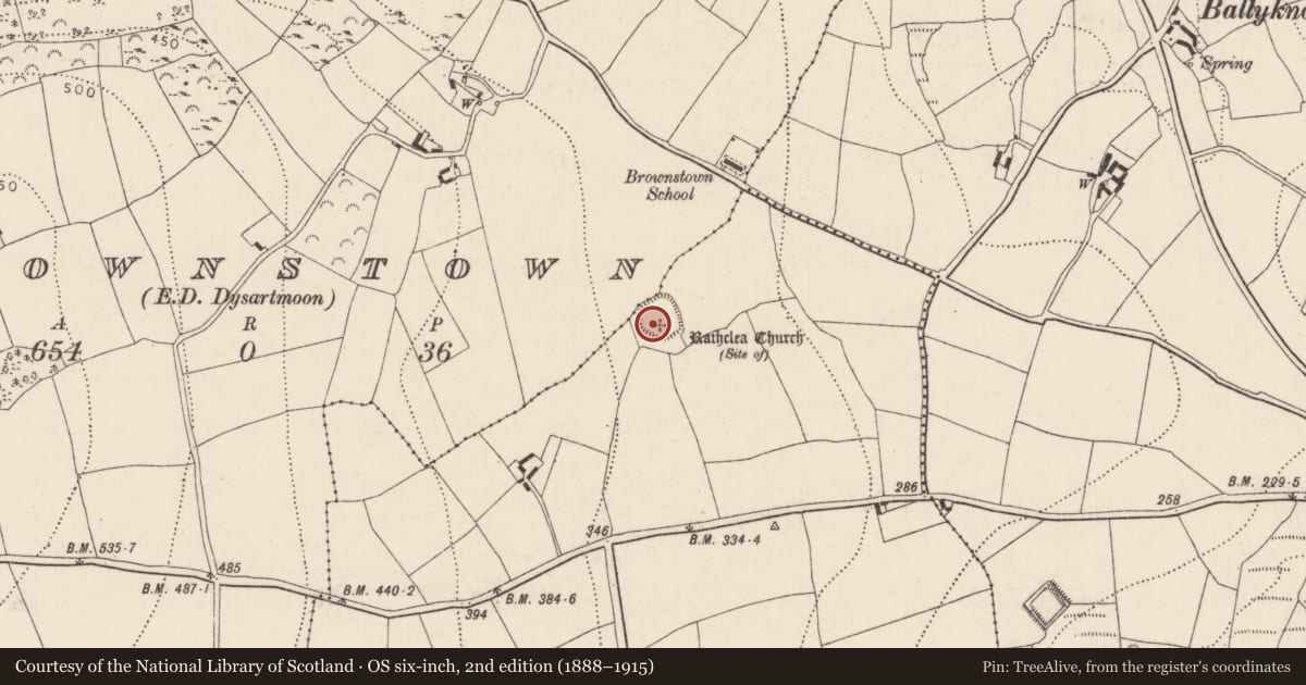 Ordnance Survey six-inch map, 2nd edition (1888–1915) covering the location of Church, Ballyreddy, County Kilkenny, with a pin at the register's coordinates