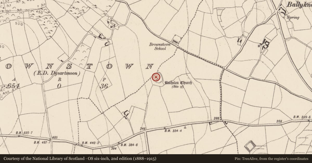 Ordnance Survey six-inch map, 2nd edition (1888–1915) covering the location of Graveyard, Ballyreddy, County Kilkenny, with a pin at the register's coordinates