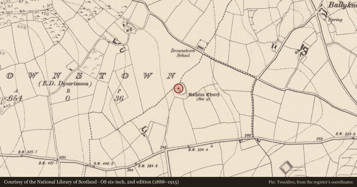 Ordnance Survey six-inch map, 2nd edition (1888–1915) covering the location of Cross, Ballyreddy, County Kilkenny, with a pin at the register's coordinates