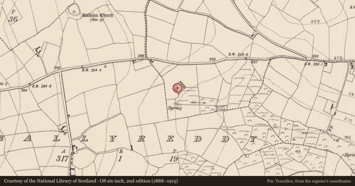 Ordnance Survey six-inch map, 2nd edition (1888–1915) covering the location of Moated site, Ballyknock, County Kilkenny, with a pin at the register's coordinates
