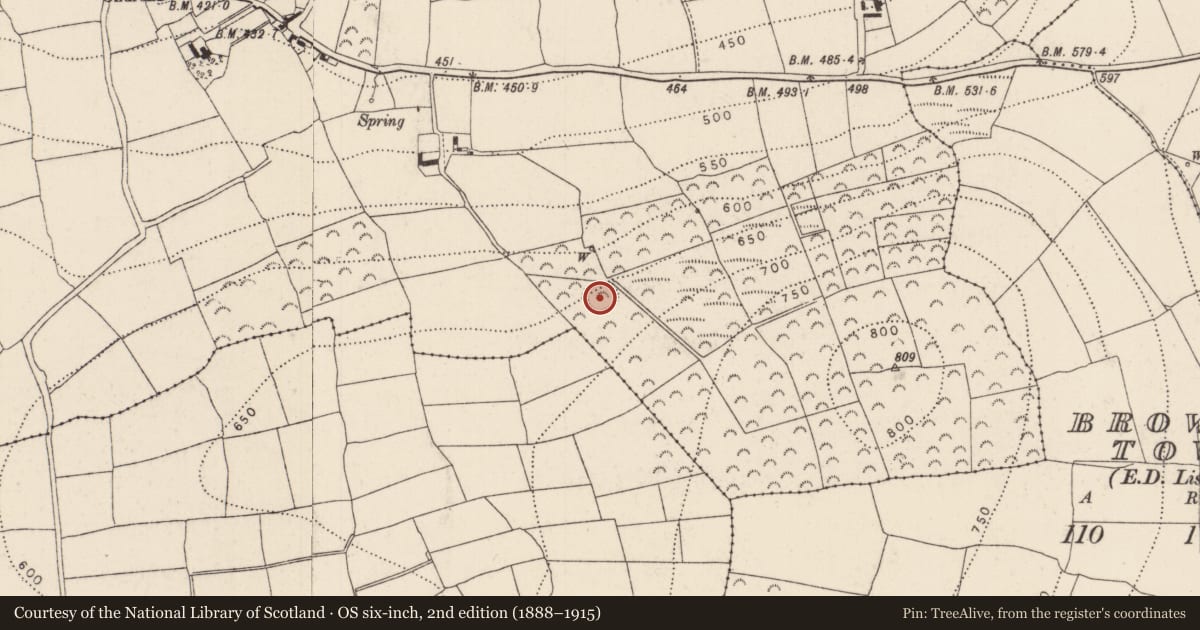 Ordnance Survey six-inch map, 2nd edition (1888–1915) covering the location of Ringfort - unclassified, Listerlin, County Kilkenny, with a pin at the register's coordinates