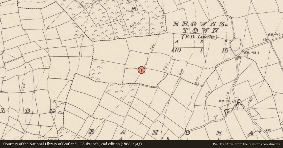 Ordnance Survey six-inch map, 2nd edition (1888–1915) covering the location of Ringfort - rath, Brownstown, County Kilkenny, with a pin at the register's coordinates