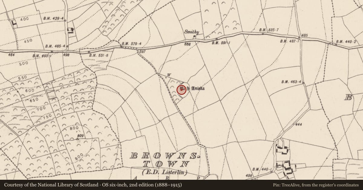 Ordnance Survey six-inch map, 2nd edition (1888–1915) covering the location of Enclosure, Brownstown, County Kilkenny, with a pin at the register's coordinates