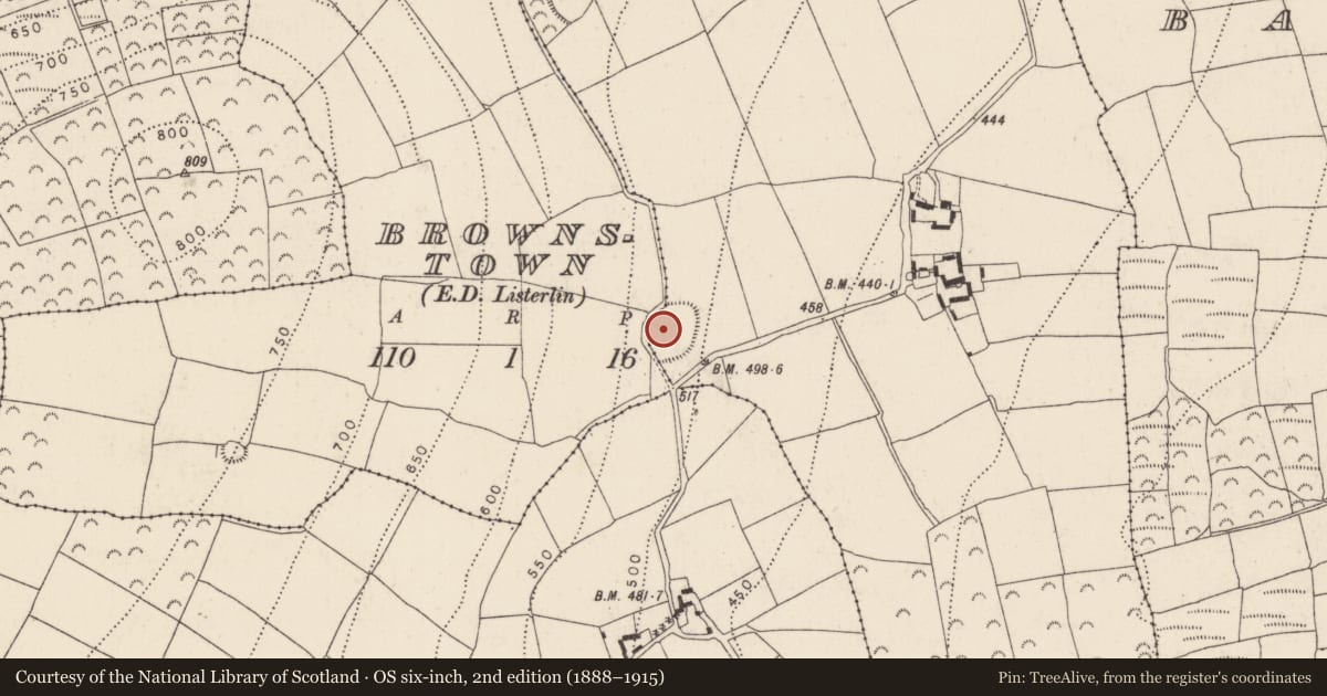 Ordnance Survey six-inch map, 2nd edition (1888–1915) covering the location of Enclosure, Brownstown, County Kilkenny, with a pin at the register's coordinates