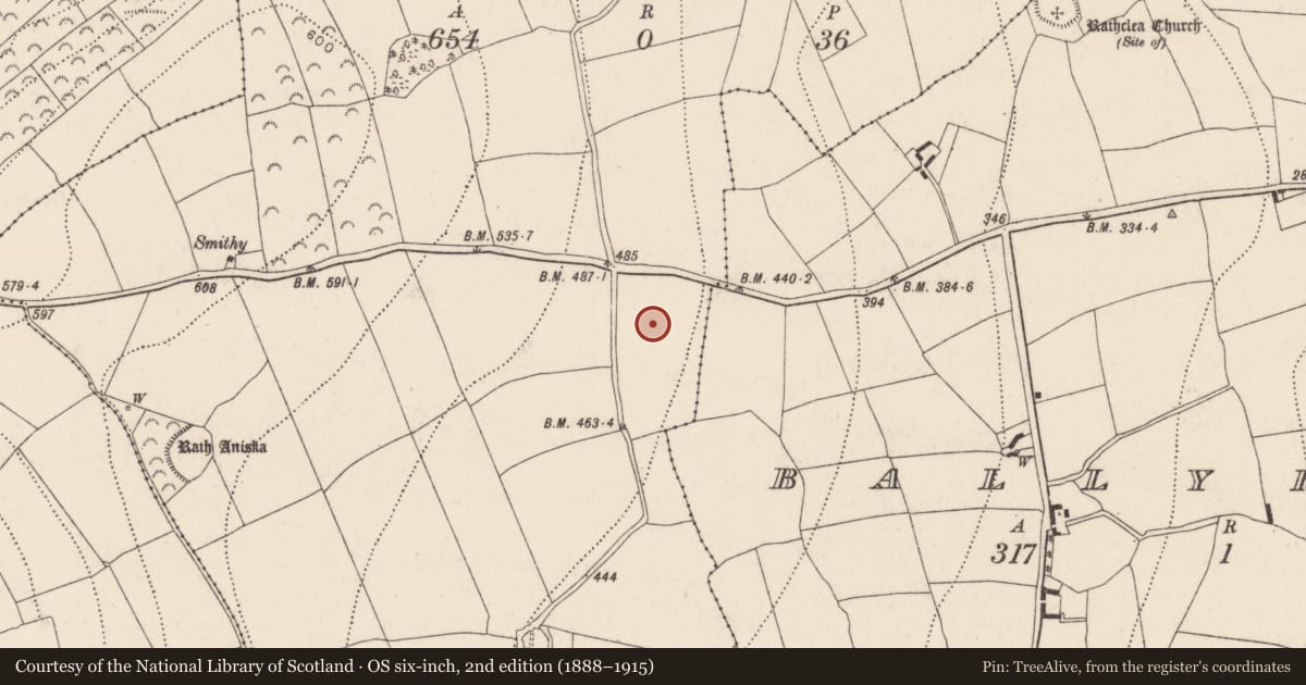Ordnance Survey six-inch map, 2nd edition (1888–1915) covering the location of Enclosure, Brownstown, County Kilkenny, with a pin at the register's coordinates