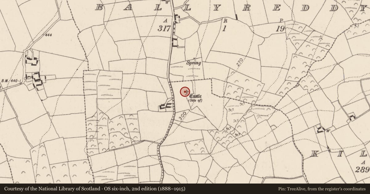 Ordnance Survey six-inch map, 2nd edition (1888–1915) covering the location of Castle - unclassified, Slievecarragh, County Kilkenny, with a pin at the register's coordinates