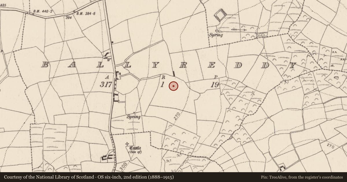 Ordnance Survey six-inch map, 2nd edition (1888–1915) covering the location of Fulacht fia, Ballyreddy, County Kilkenny, with a pin at the register's coordinates