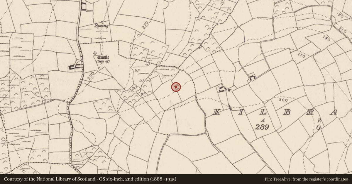 Ordnance Survey six-inch map, 2nd edition (1888–1915) covering the location of Ringfort - unclassified, Slievecarragh, County Kilkenny, with a pin at the register's coordinates