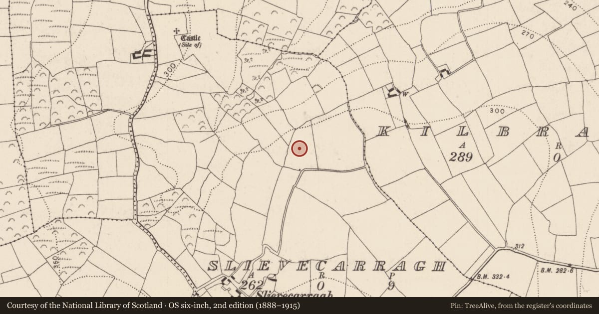 Ordnance Survey six-inch map, 2nd edition (1888–1915) covering the location of Enclosure, Slievecarragh, County Kilkenny, with a pin at the register's coordinates