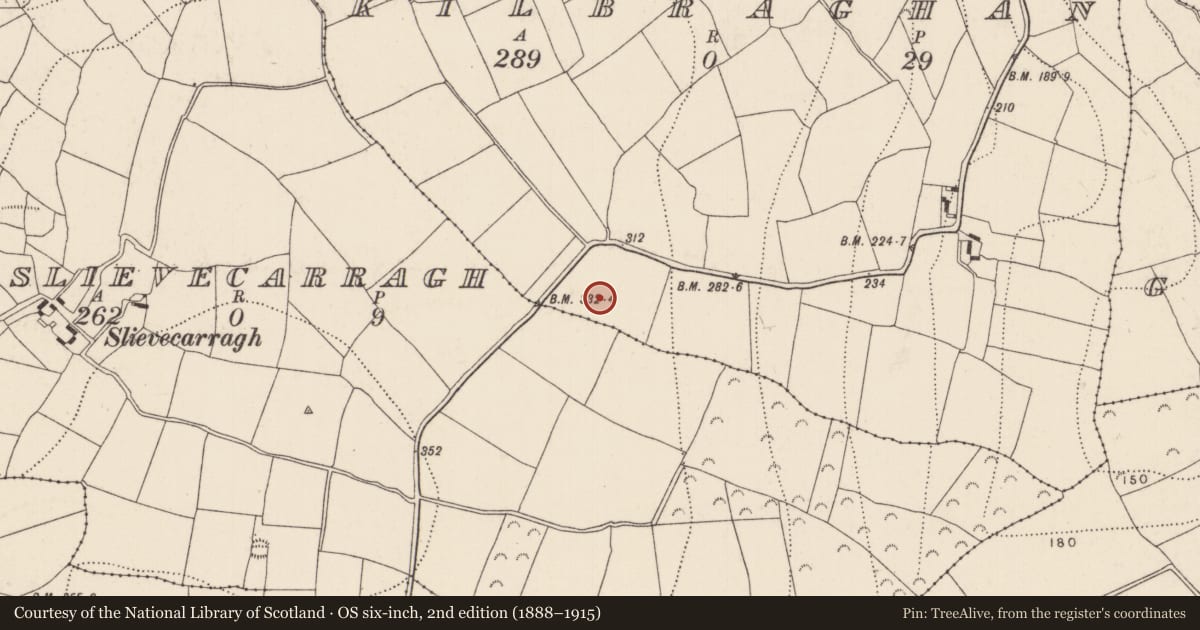 Ordnance Survey six-inch map, 2nd edition (1888–1915) covering the location of Ringfort - unclassified, Kilbraghan, County Kilkenny, with a pin at the register's coordinates