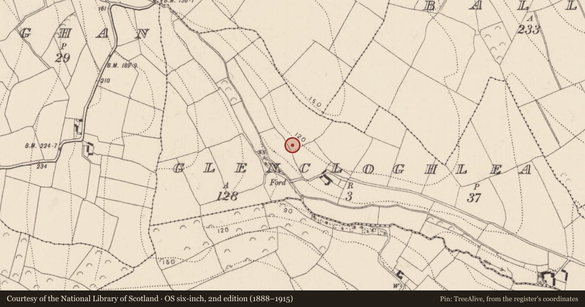Ordnance Survey six-inch map, 2nd edition (1888–1915) covering the location of Megalithic tomb - portal tomb, Glencloghlea, County Kilkenny, with a pin at the register's coordinates