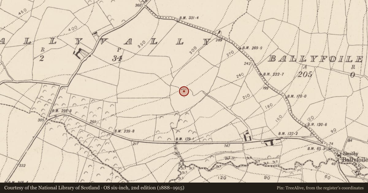 Ordnance Survey six-inch map, 2nd edition (1888–1915) covering the location of Cross-inscribed stone, Glenballyvally, County Kilkenny, with a pin at the register's coordinates