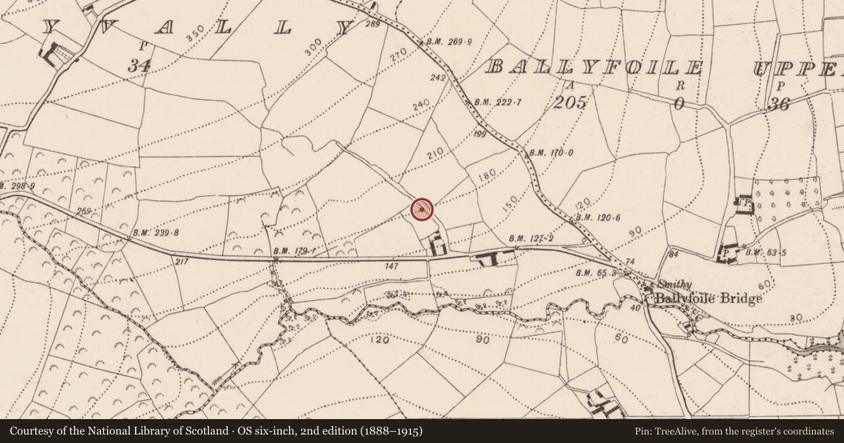 Ordnance Survey six-inch map, 2nd edition (1888–1915) covering the location of Standing stone, Glenballyvally, County Kilkenny, with a pin at the register's coordinates