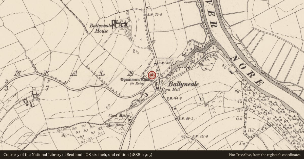 Ordnance Survey six-inch map, 2nd edition (1888–1915) covering the location of Cross, Ballyknock, County Kilkenny, with a pin at the register's coordinates