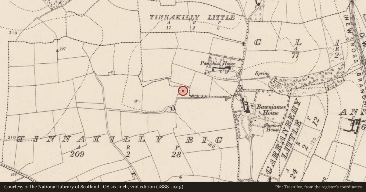 Ordnance Survey six-inch map, 2nd edition (1888–1915) covering the location of Moated site, Tinnakilly Big, County Kilkenny, with a pin at the register's coordinates