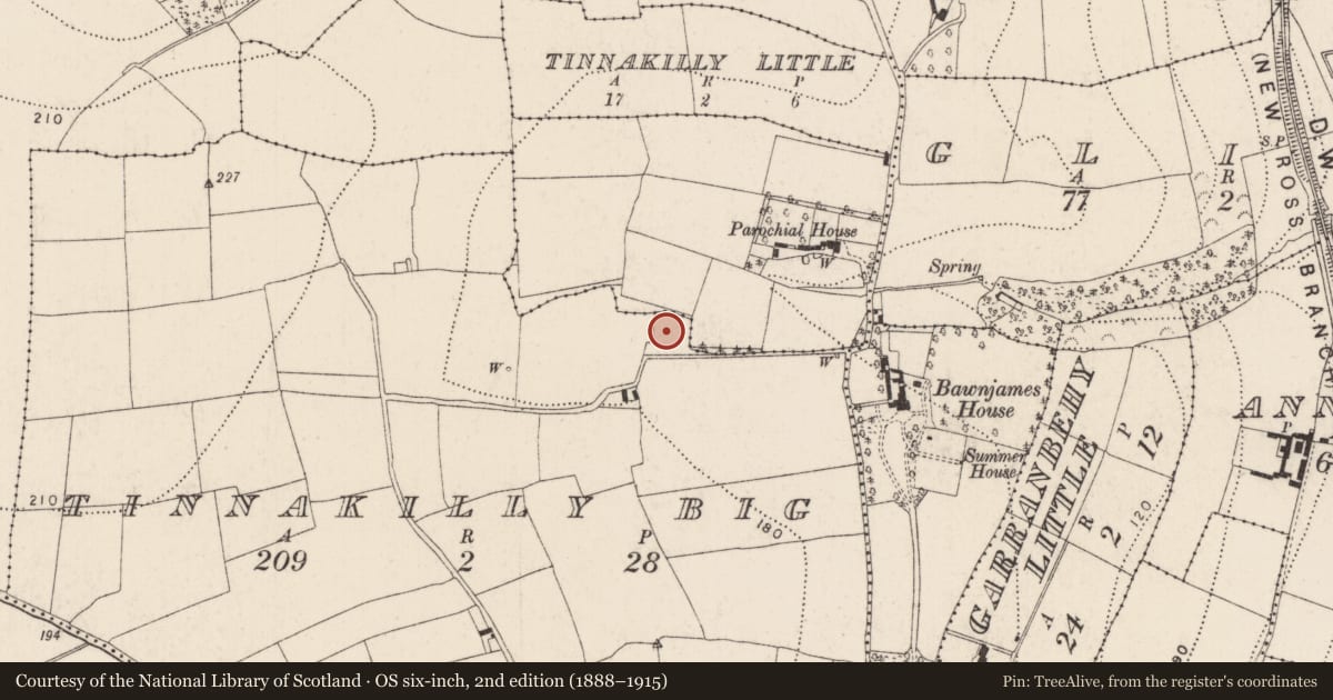 Ordnance Survey six-inch map, 2nd edition (1888–1915) covering the location of Hut site, Tinnakilly Big, County Kilkenny, with a pin at the register's coordinates