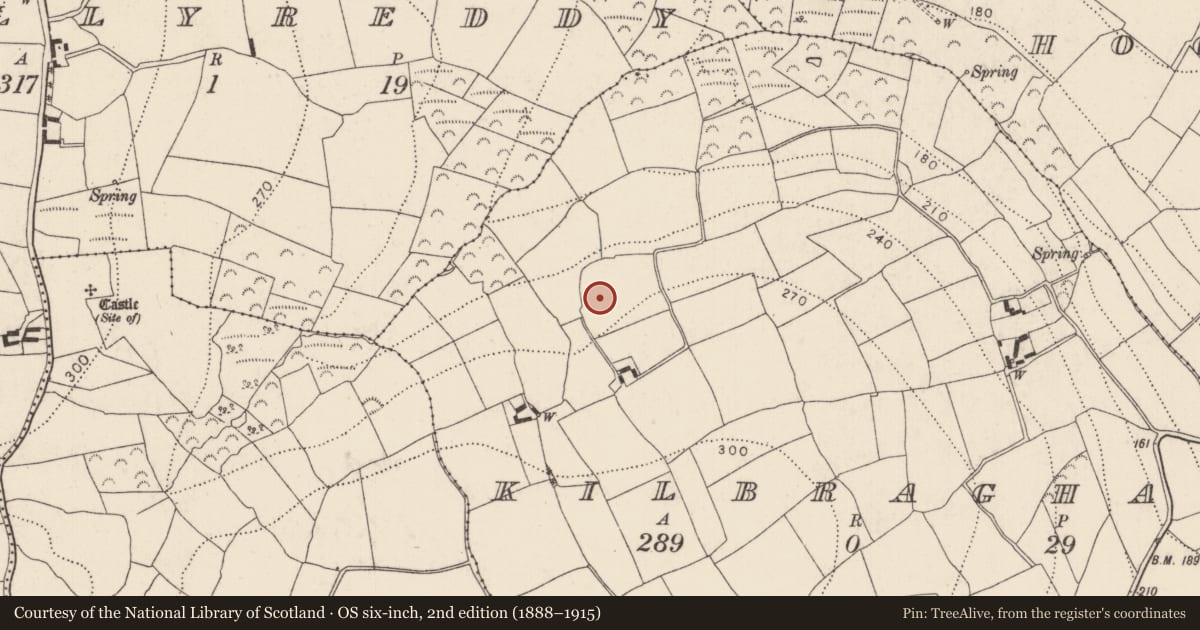 Ordnance Survey six-inch map, 2nd edition (1888–1915) covering the location of Ecclesiastical enclosure, Kilbraghan, County Kilkenny, with a pin at the register's coordinates