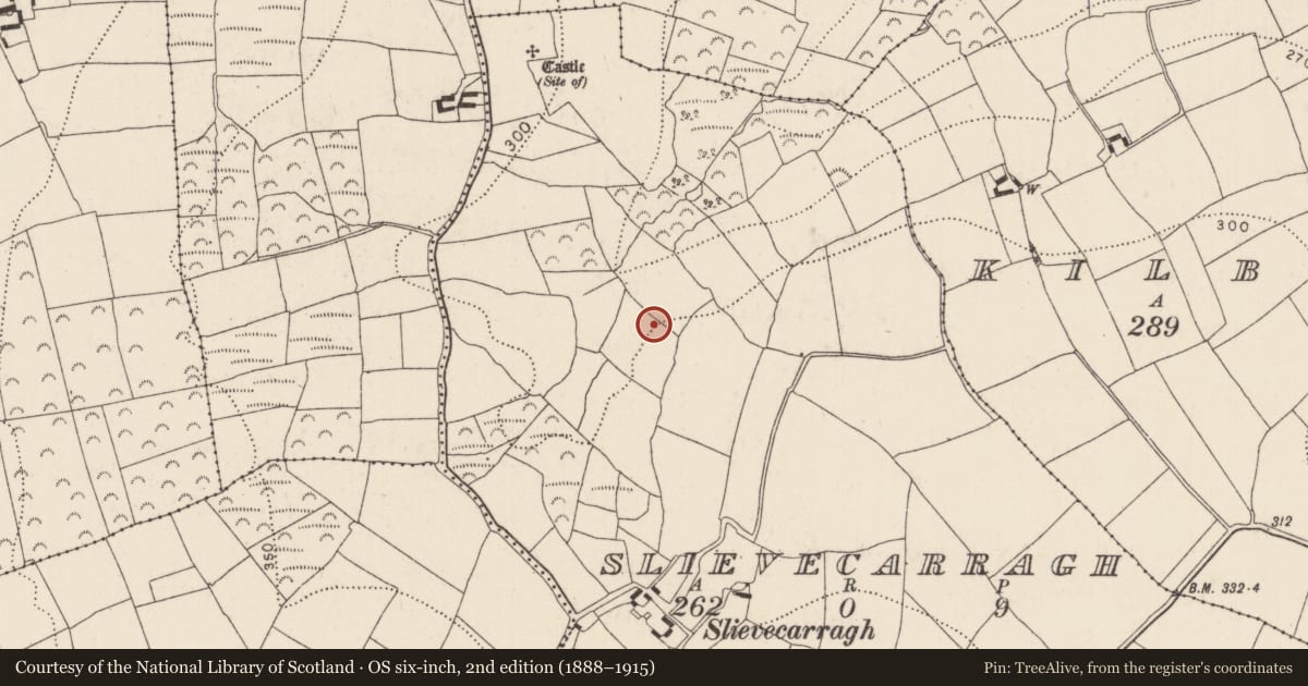 Ordnance Survey six-inch map, 2nd edition (1888–1915) covering the location of Fulacht fia, Slievecarragh, County Kilkenny, with a pin at the register's coordinates