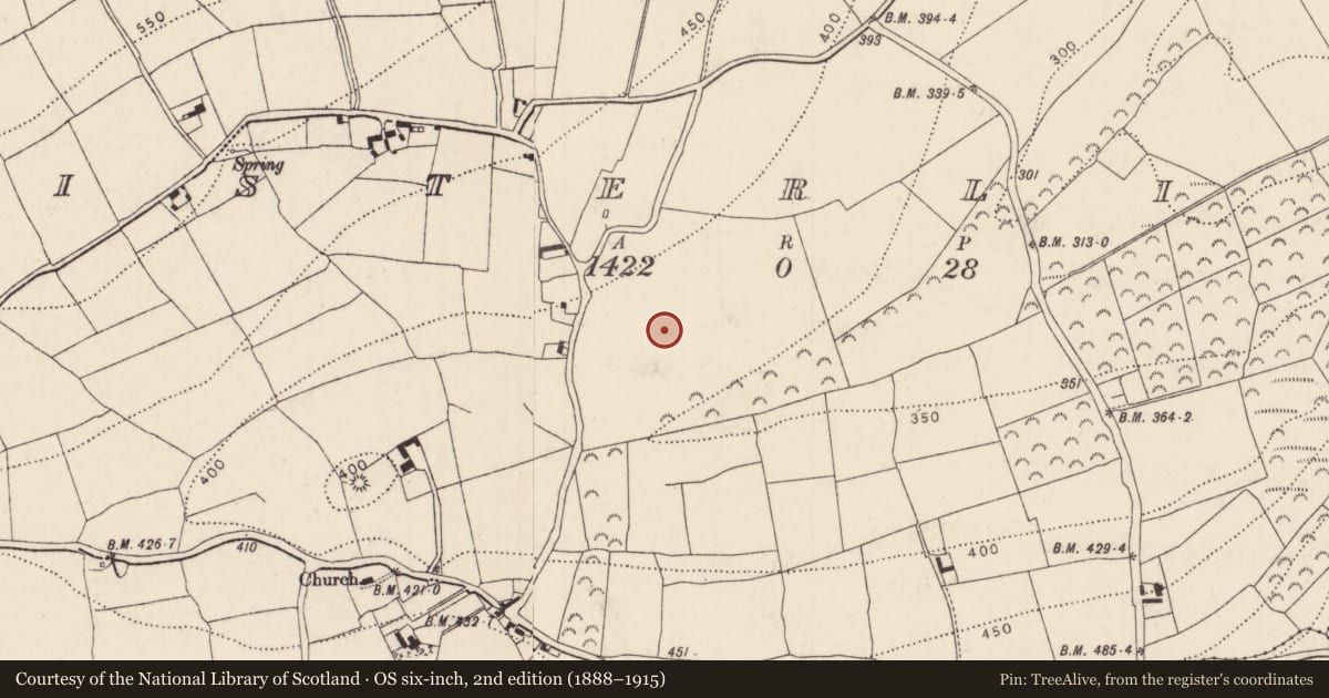 Ordnance Survey six-inch map, 2nd edition (1888–1915) covering the location of Settlement cluster, Listerlin, County Kilkenny, with a pin at the register's coordinates