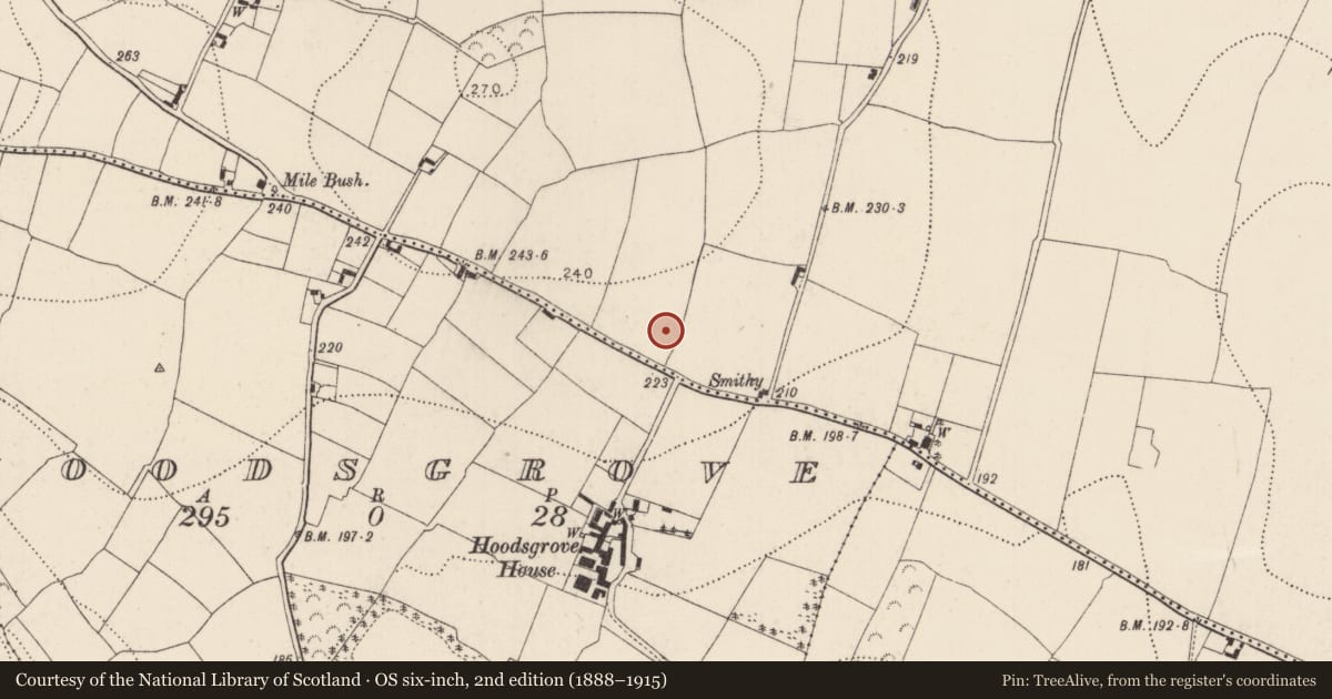 Ordnance Survey six-inch map, 2nd edition (1888–1915) covering the location of Enclosure, Tinnaranny, County Kilkenny, with a pin at the register's coordinates
