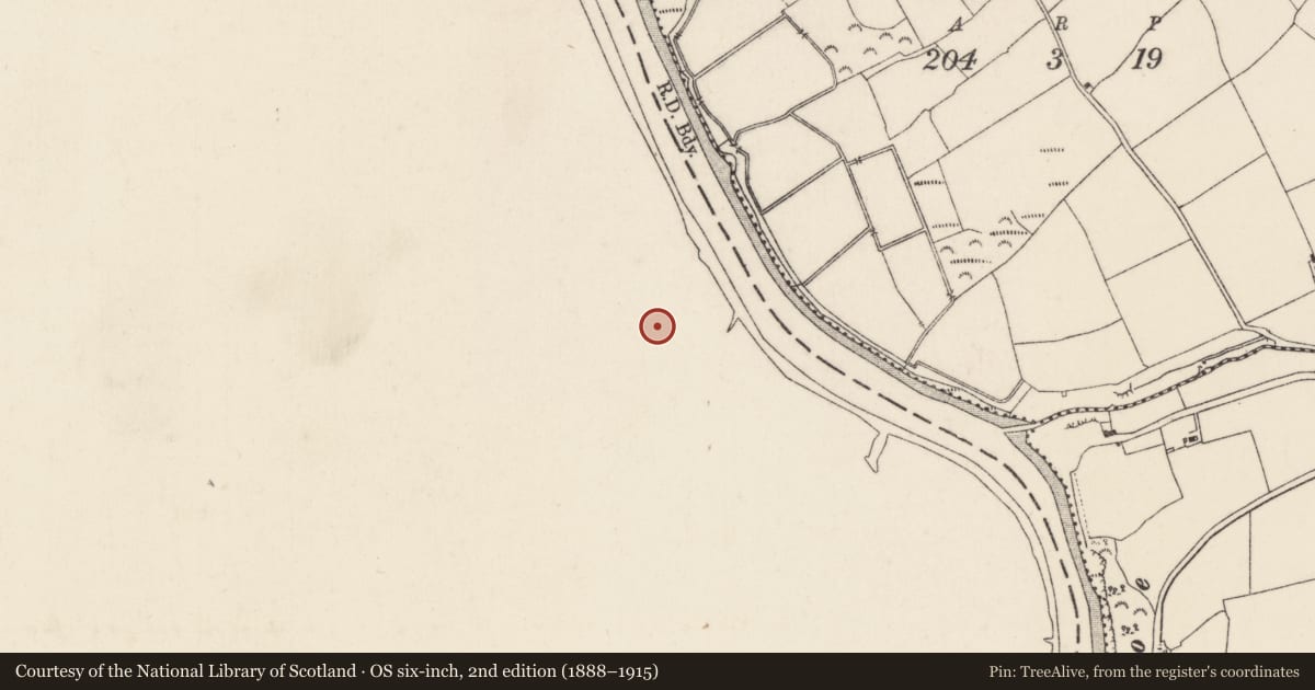 Ordnance Survey six-inch map, 2nd edition (1888–1915) covering the location of Rock art, Tintine, County Kilkenny, with a pin at the register's coordinates