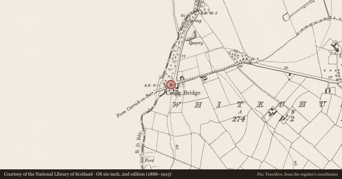 Ordnance Survey six-inch map, 2nd edition (1888–1915) covering the location of Ritual site - holy well, Whitechurch, County Kilkenny, with a pin at the register's coordinates