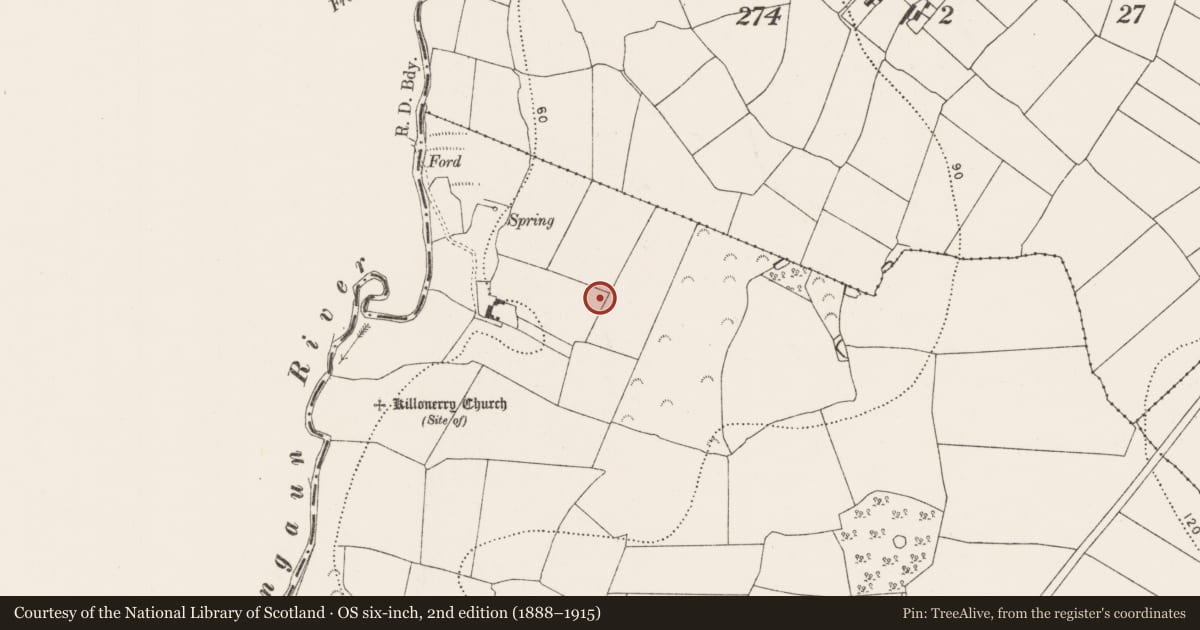 Ordnance Survey six-inch map, 2nd edition (1888–1915) covering the location of Megalithic tomb - portal tomb, Killonerry, County Kilkenny, with a pin at the register's coordinates