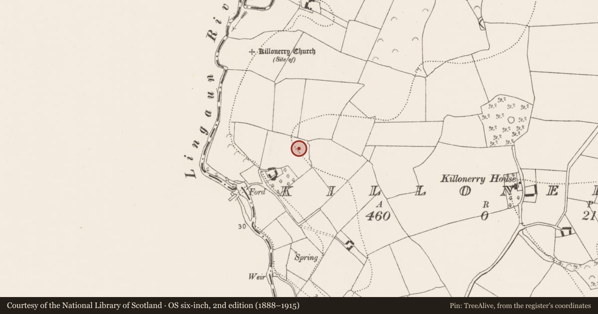 Ordnance Survey six-inch map, 2nd edition (1888–1915) covering the location of Fulacht fia, Killonerry, County Kilkenny, with a pin at the register's coordinates