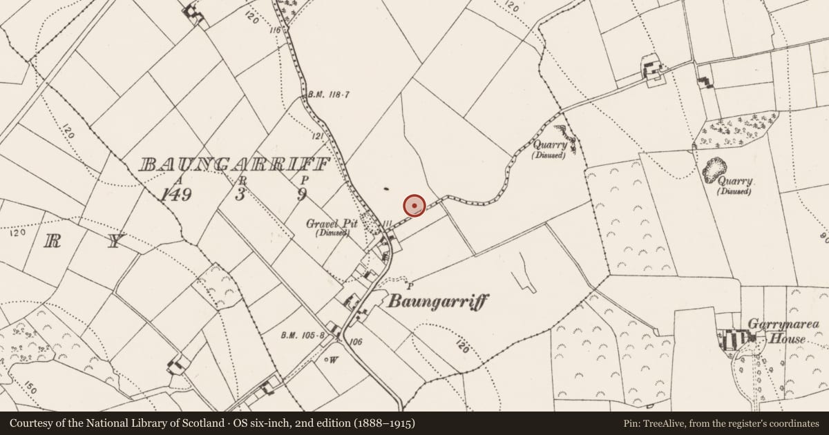 Ordnance Survey six-inch map, 2nd edition (1888–1915) covering the location of Fulacht fia, Craigue, County Kilkenny, with a pin at the register's coordinates
