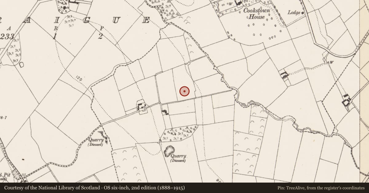 Ordnance Survey six-inch map, 2nd edition (1888–1915) covering the location of Standing stone, Garrynarea, County Kilkenny, with a pin at the register's coordinates