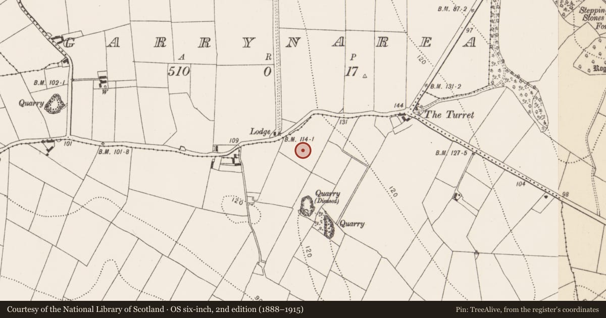 Ordnance Survey six-inch map, 2nd edition (1888–1915) covering the location of Fulacht fia, Tibberaghny, County Kilkenny, with a pin at the register's coordinates