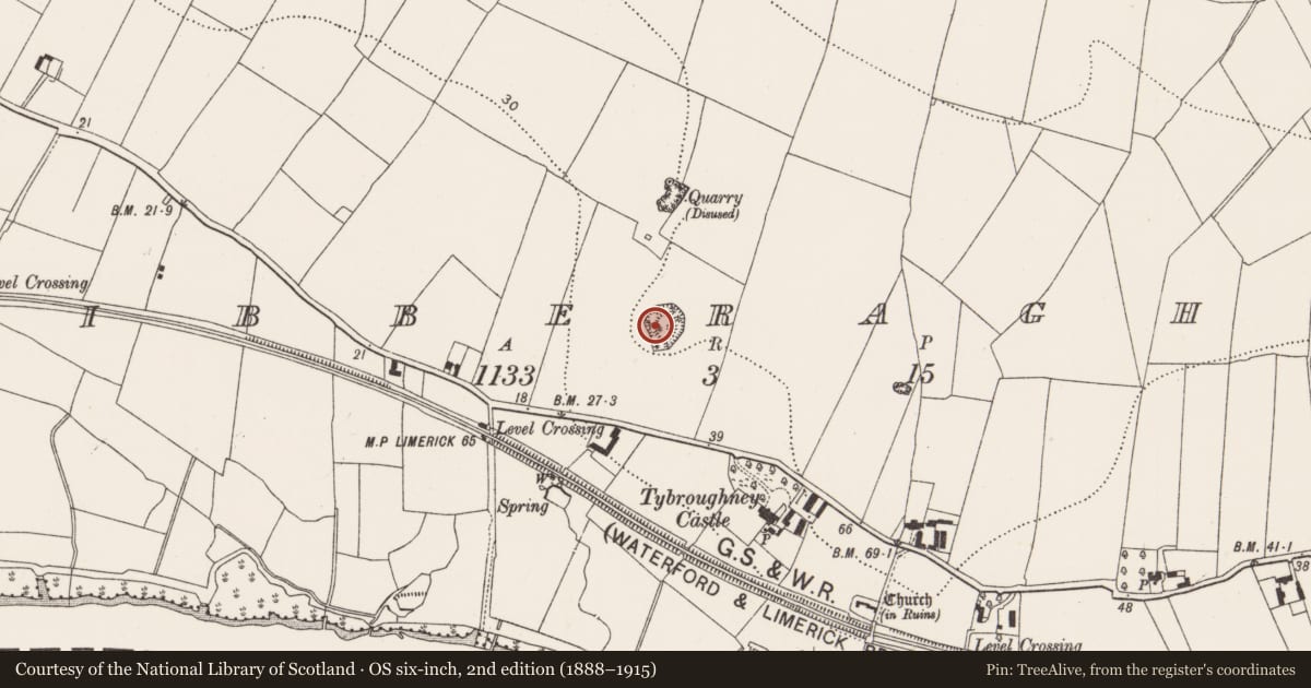 Ordnance Survey six-inch map, 2nd edition (1888–1915) covering the location of Castle - motte and bailey, Tibberaghny, County Kilkenny, with a pin at the register's coordinates
