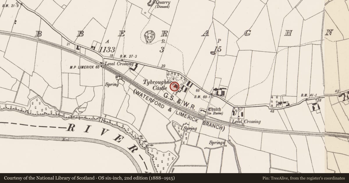 Ordnance Survey six-inch map, 2nd edition (1888–1915) covering the location of Castle - tower house, Tibberaghny, County Kilkenny, with a pin at the register's coordinates