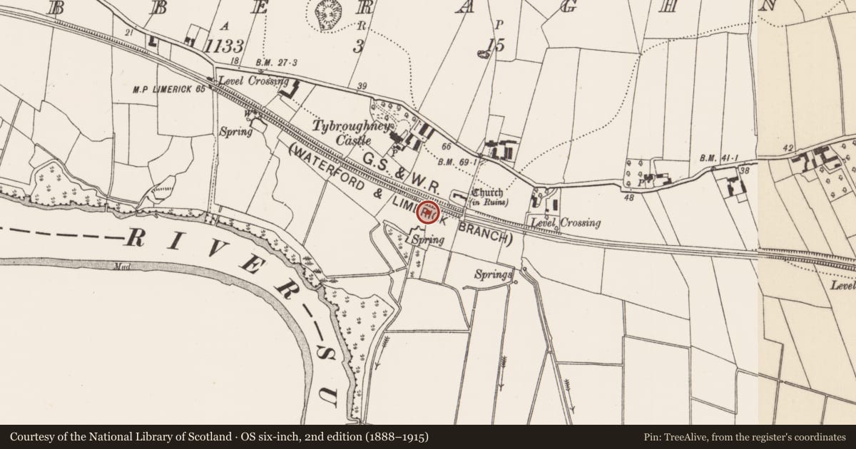 Ordnance Survey six-inch map, 2nd edition (1888–1915) covering the location of Ritual site - holy well, Tibberaghny, County Kilkenny, with a pin at the register's coordinates