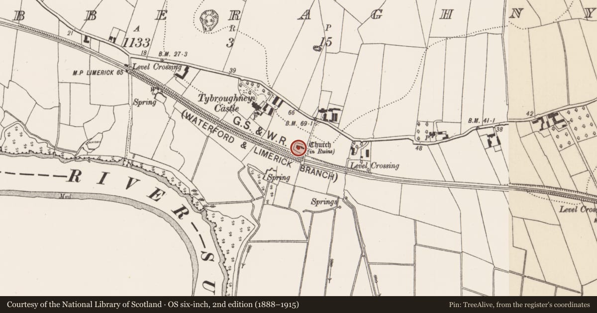Ordnance Survey six-inch map, 2nd edition (1888–1915) covering the location of Stone sculpture, Tibberaghny, County Kilkenny, with a pin at the register's coordinates