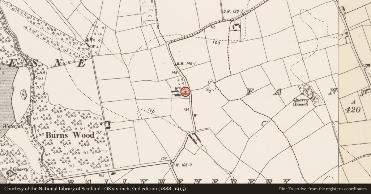 Ordnance Survey six-inch map, 2nd edition (1888–1915) covering the location of Castle - unclassified, Ballyhenebery, County Kilkenny, with a pin at the register's coordinates