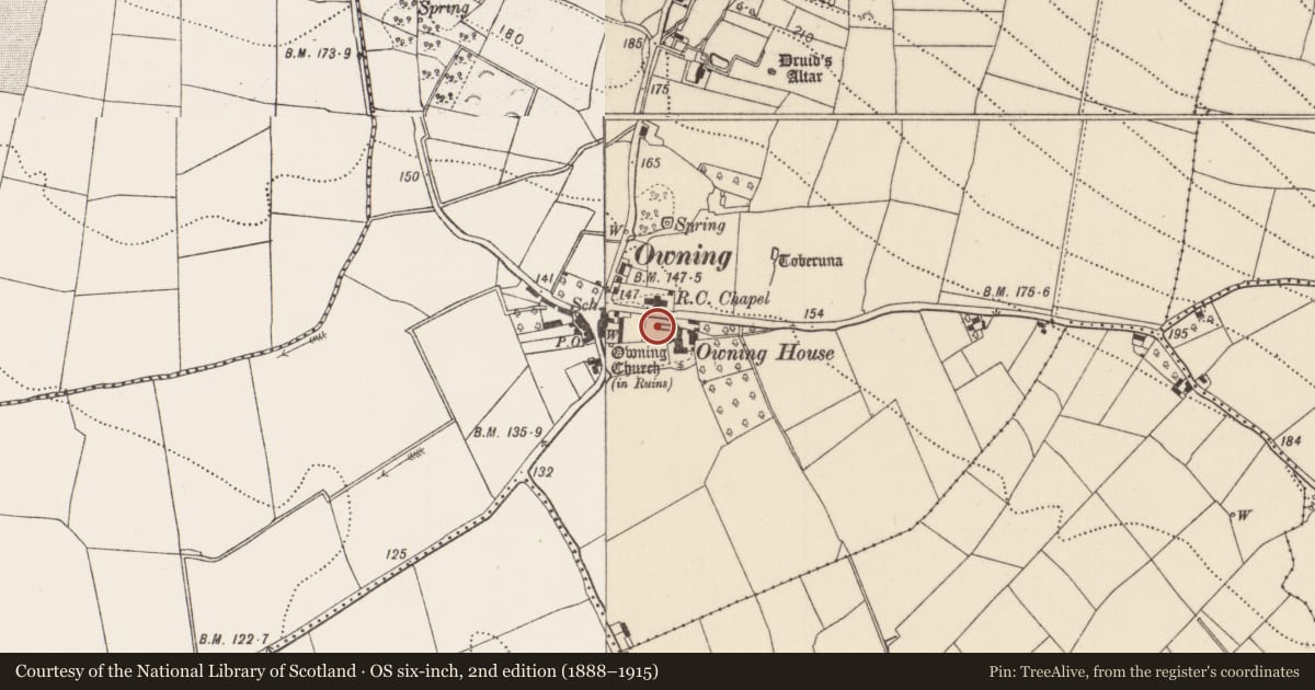 Ordnance Survey six-inch map, 2nd edition (1888–1915) covering the location of Graveyard, Owning, County Kilkenny, with a pin at the register's coordinates
