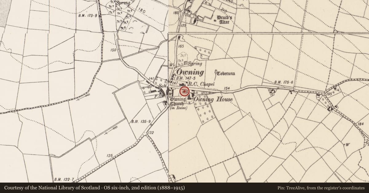 Ordnance Survey six-inch map, 2nd edition (1888–1915) covering the location of Tomb - chest tomb, Owning, County Kilkenny, with a pin at the register's coordinates