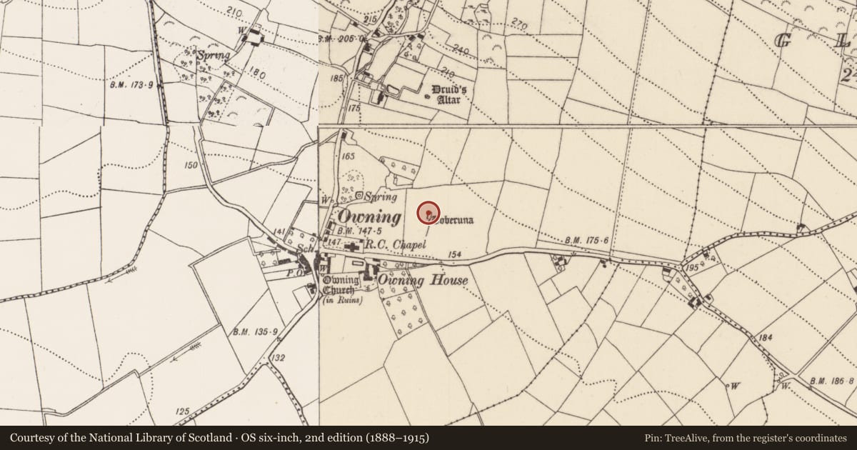 Ordnance Survey six-inch map, 2nd edition (1888–1915) covering the location of Ritual site - holy well, Owning, County Kilkenny, with a pin at the register's coordinates