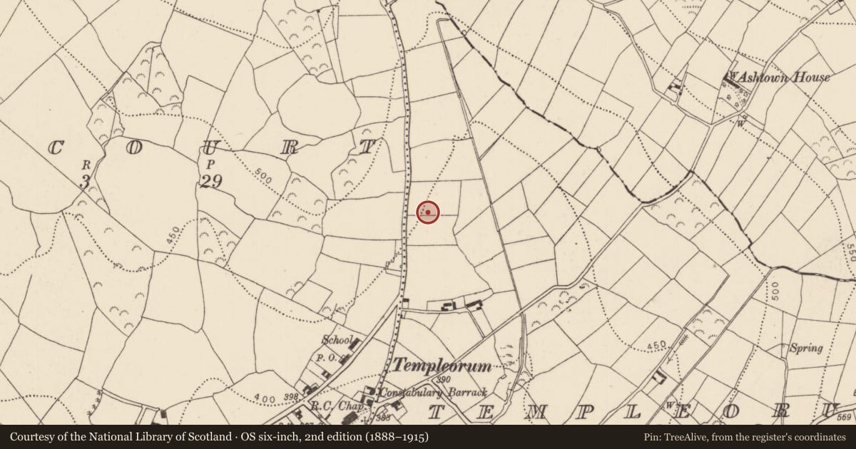 Ordnance Survey six-inch map, 2nd edition (1888–1915) covering the location of Fulacht fia, Templeorum, County Kilkenny, with a pin at the register's coordinates