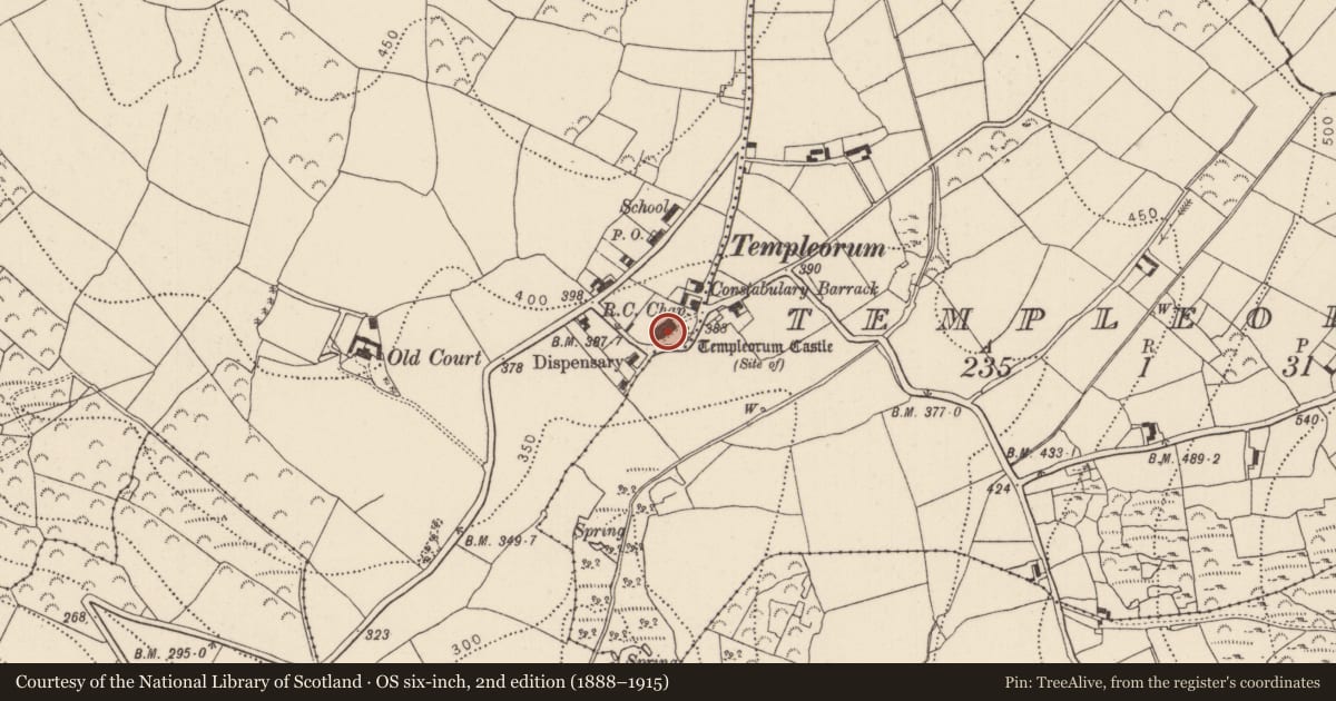 Ordnance Survey six-inch map, 2nd edition (1888–1915) covering the location of Church, Oldcourt, Templeorum, County Kilkenny, with a pin at the register's coordinates