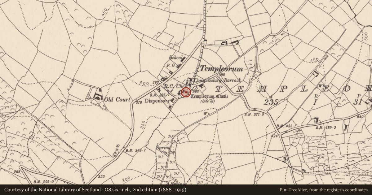 Ordnance Survey six-inch map, 2nd edition (1888–1915) covering the location of Castle - unclassified, Oldcourt, Templeorum, County Kilkenny, with a pin at the register's coordinates