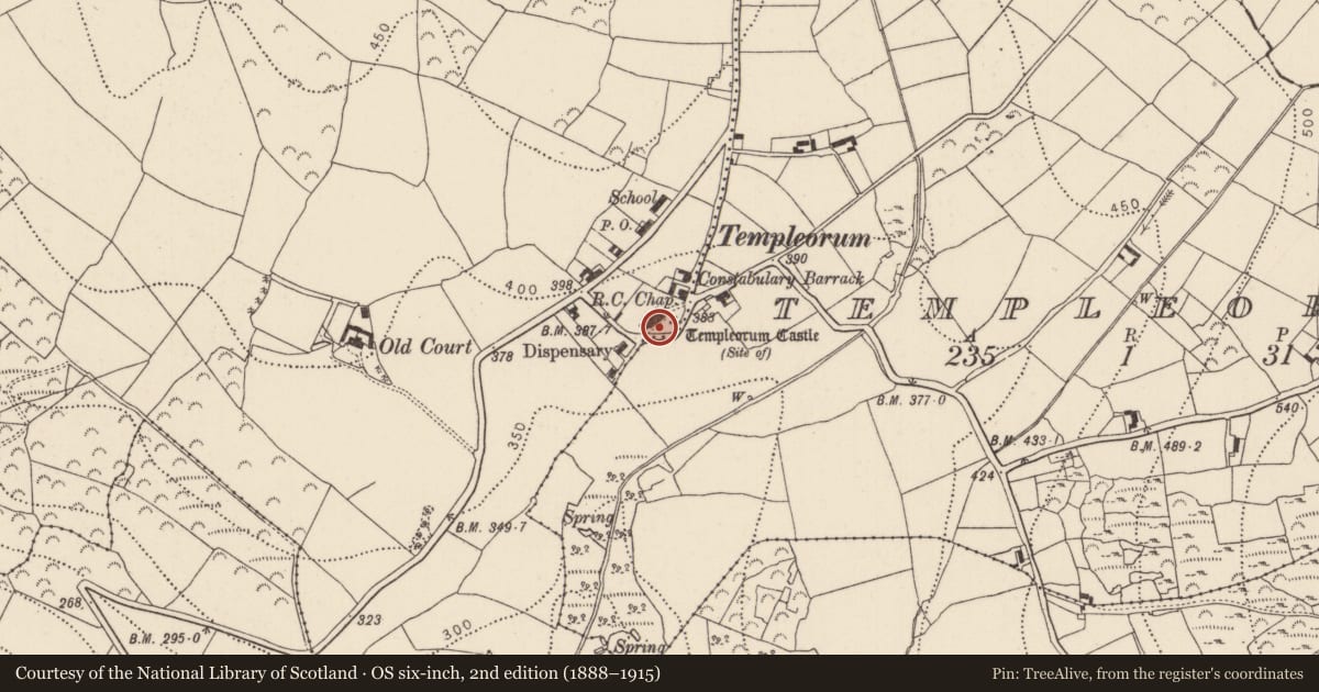 Ordnance Survey six-inch map, 2nd edition (1888–1915) covering the location of Graveyard, Oldcourt, Templeorum, County Kilkenny, with a pin at the register's coordinates