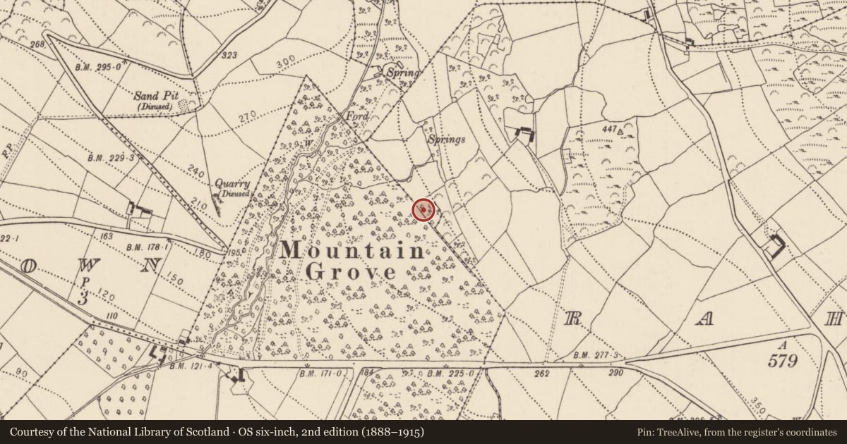 Ordnance Survey six-inch map, 2nd edition (1888–1915) covering the location of Enclosure, Tinnakilly, County Kilkenny, with a pin at the register's coordinates