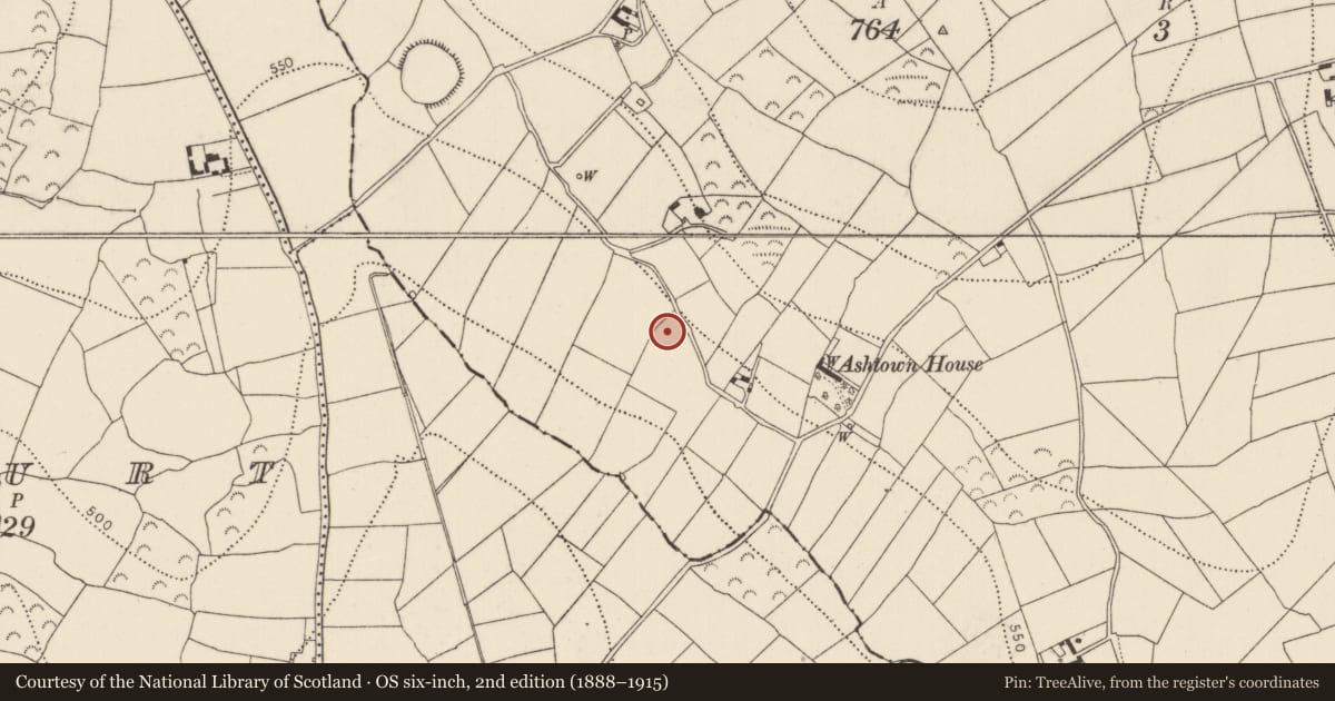Ordnance Survey six-inch map, 2nd edition (1888–1915) covering the location of Moated site, Ashtown, County Kilkenny, with a pin at the register's coordinates