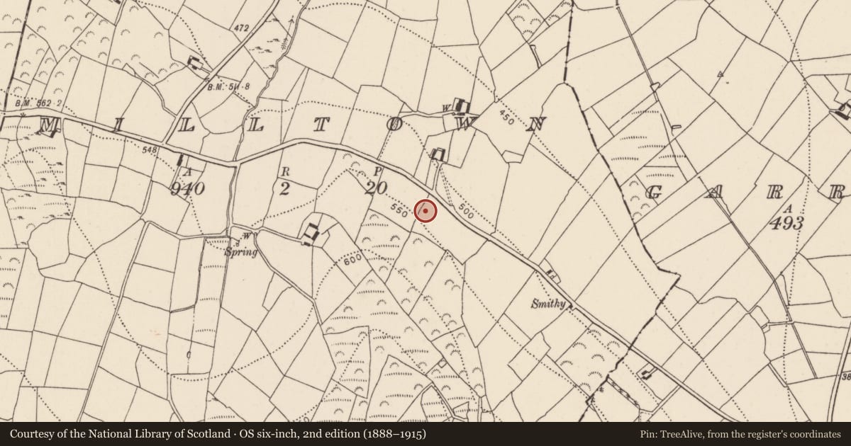 Ordnance Survey six-inch map, 2nd edition (1888–1915) covering the location of Standing stone, Milltown, County Kilkenny, with a pin at the register's coordinates