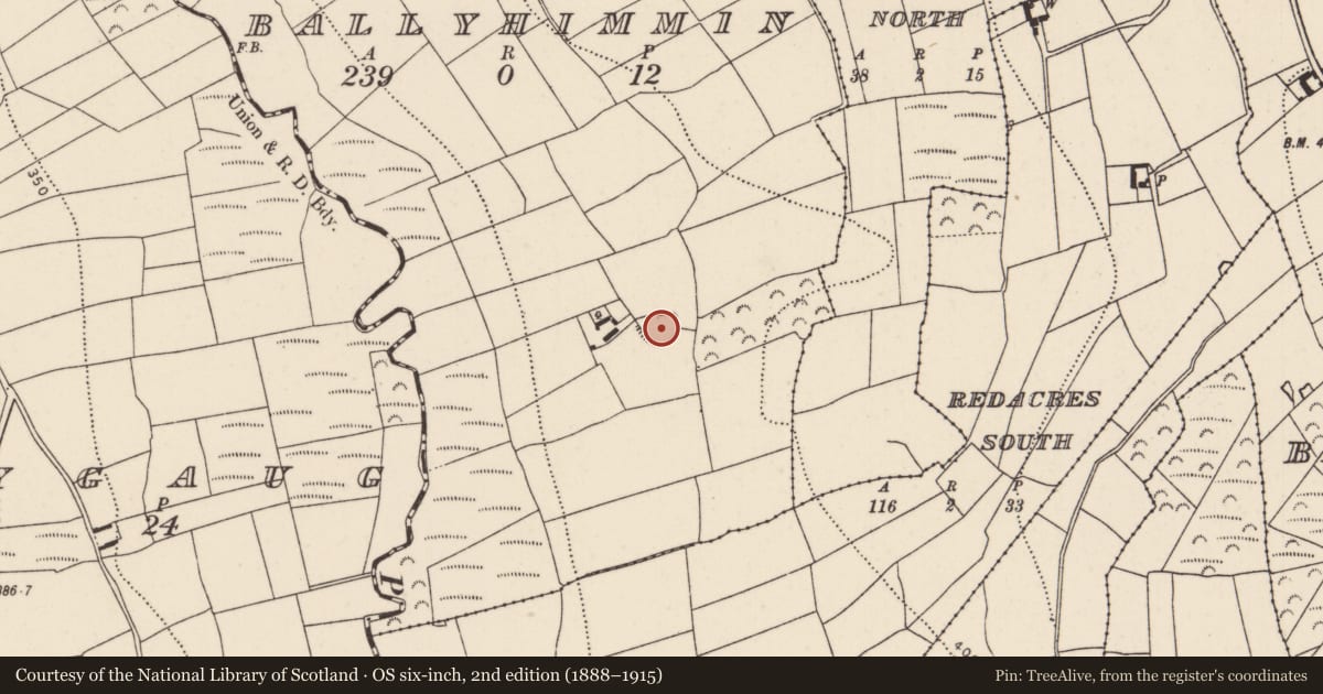 Ordnance Survey six-inch map, 2nd edition (1888–1915) covering the location of Ringfort - rath, Ballyhimmin, County Kilkenny, with a pin at the register's coordinates