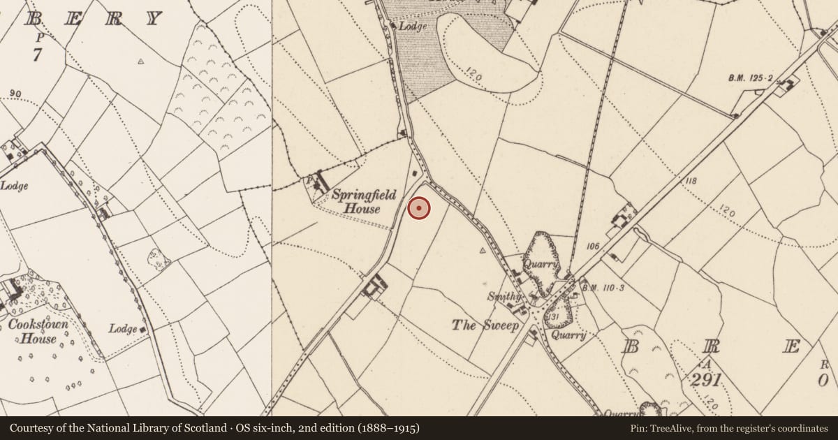 Ordnance Survey six-inch map, 2nd edition (1888–1915) covering the location of Fulacht fia, Belline And Rogerstown, County Kilkenny, with a pin at the register's coordinates